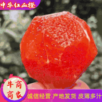 【血橙】中华红血橙，果大皮薄多汁，产地出售，一手货源