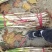 优质长白大葱，胶泥地亮度好，无断头，远近可送，保证质量。