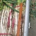 优质长白大葱，胶泥地亮度好，无断头，远近可送，保证质量。