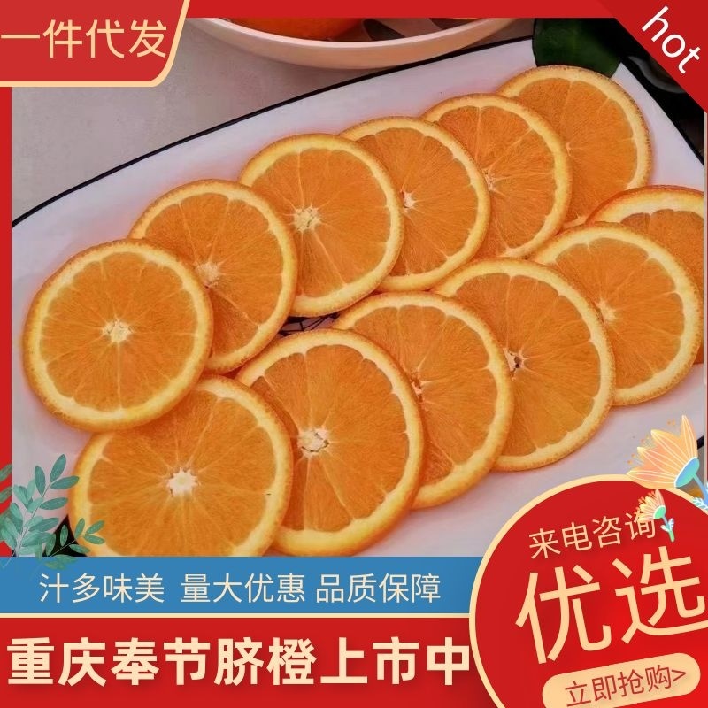 奉节脐橙产地直供口感好对接电商超市一件代发进店咨询