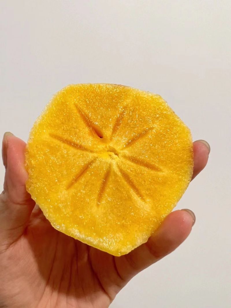 柿子苗大秋柿子苗鸟柿砧木大秋甜柿苗大秋脆柿苗