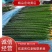密刺黄瓜广东密刺黄瓜一手货源对接商超档口欢迎