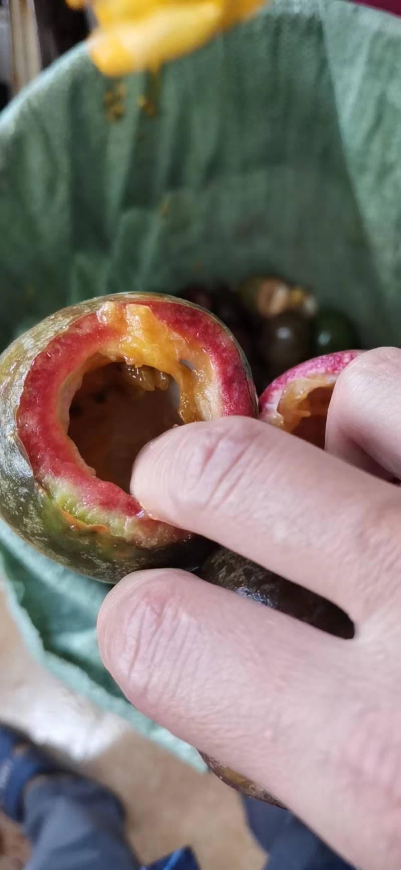 百香果果皮果脯原料量大从优欢迎来电咨询选购