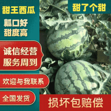 【推荐】精品云南山地甜王西瓜，优质瓤口好糖度高质量保证