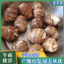 山东毛芋头8520豆包毛芋头供应电商毛芋头支持电商全国发