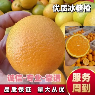 麻阳高山冰糖橙，专业代办直接对接农户，电商批发转供