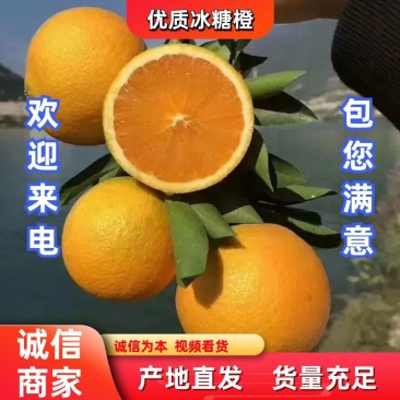 麻阳冰糖橙诚信代办产地直供，对接电商、社区团购、批发市等