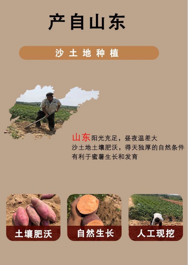 正宗烟薯25，紫薯，板栗薯一件代发糖心流油