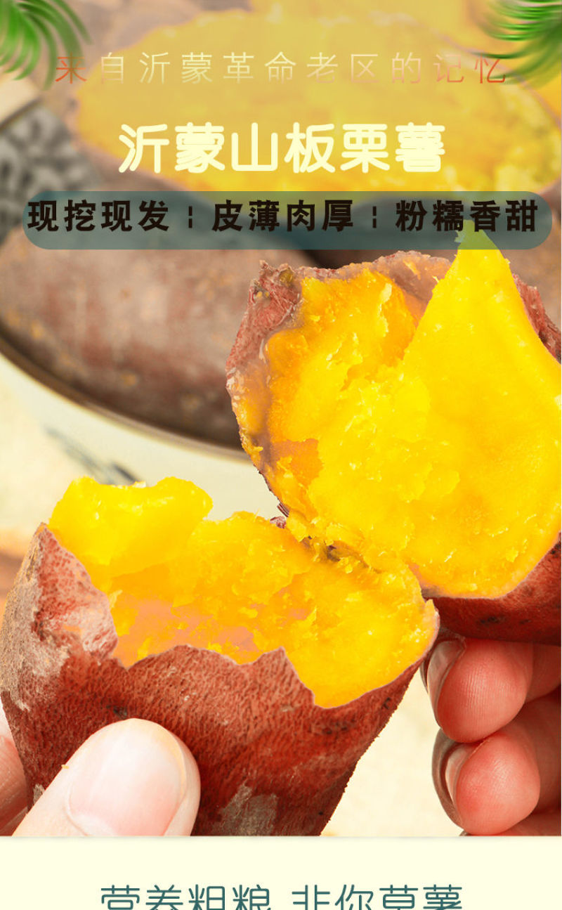 板栗薯农家自种板栗薯新鲜红薯一件代发济薯26烟薯