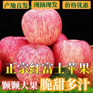 山东沂蒙山区冷库红富士苹果产地直发货源稳定