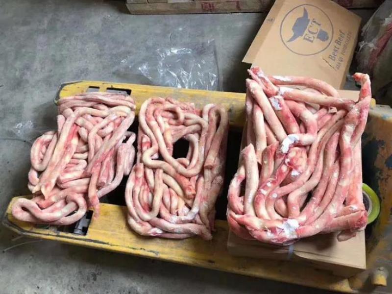 【热卖】粗牛鞭，纯干不碱法，实拍图片，一手货源，全国冷链