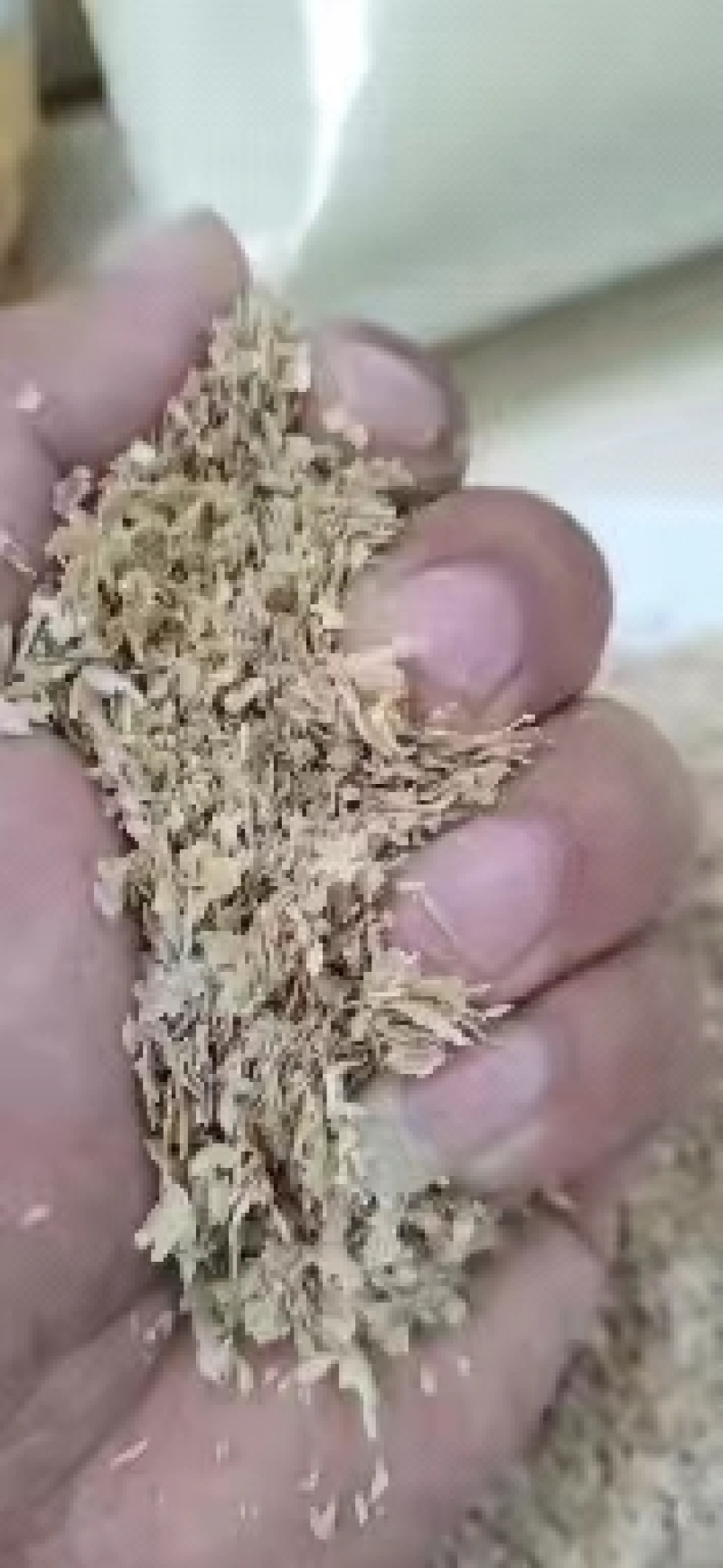 麸皮麦麸混麸细麸品种齐全，欢迎来电咨询