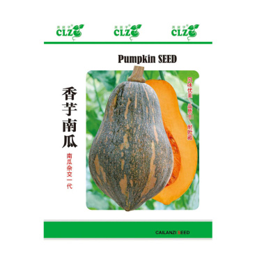 香芋南瓜种子甜面香早熟春秋种植种籽特色瓜果种蔬菜籽