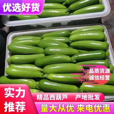 【精品批发】绿皮西葫芦，一手货源产地直发量大从优