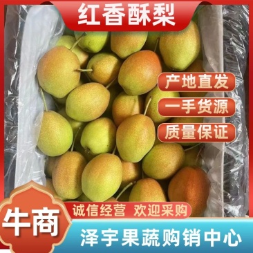 【推荐】红香酥梨河北晋州，精品筐装，对接电商/市场/团购