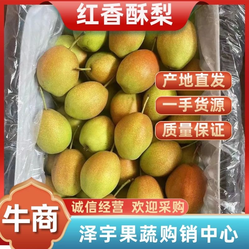 【推荐】红香酥梨河北晋州，精品筐装，对接电商/市场/团购