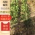 山东潍坊青州北海道黄杨基地大量供应，全国发货，质量保证