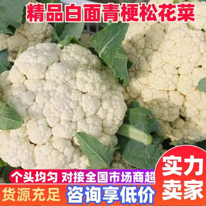白面青梗松花菜，松散乳白色有机花菜，产地直供！包质保量