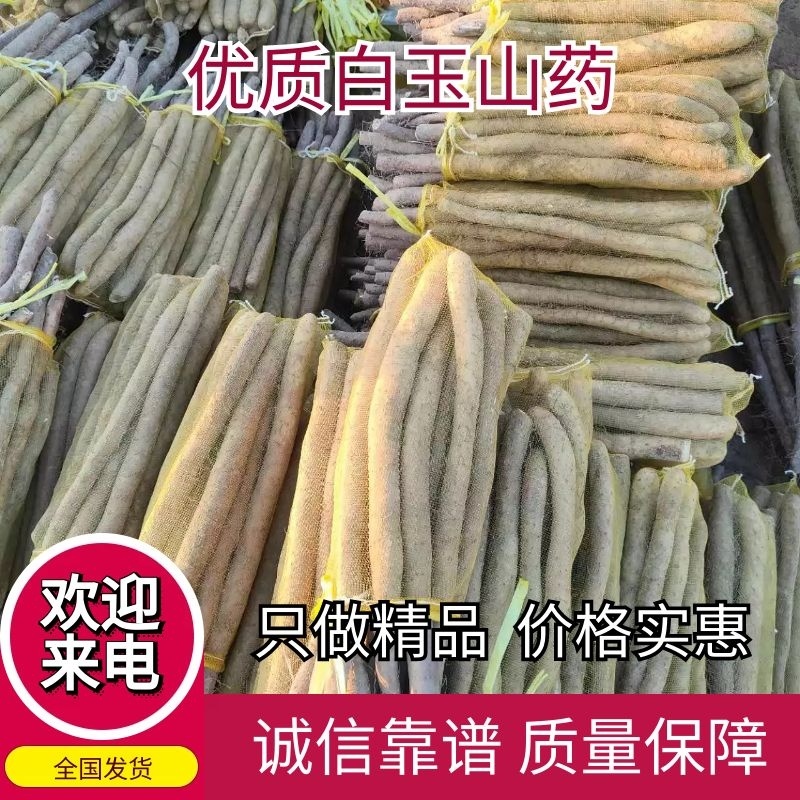精品白玉双棒短条网兜货三路货视频看货诚信为本欢迎来电合作