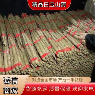 山药对接全国批发商电商接单菜山药视频看货欢迎来
