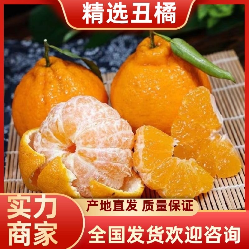 四川正宗不知火丑橘丑柑当季新鲜丑八怪孕妇水果现摘现发批发