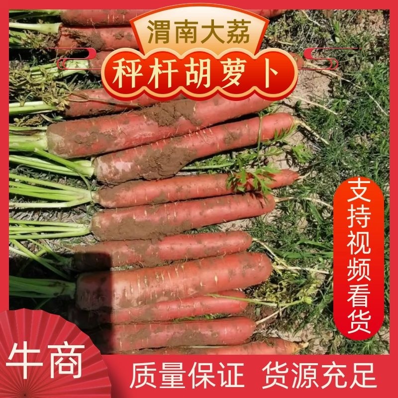 秤杆红萝卜承接电商商超批发价格便宜质量保证