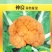 特色神良金色花菜种子春秋高产黄花椰菜种子农家基地特色蔬菜