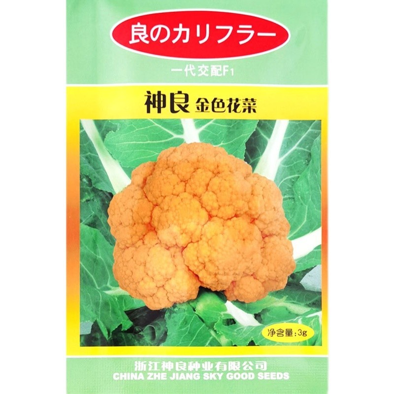 特色神良金色花菜种子春秋高产黄花椰菜种子农家基地特色蔬菜