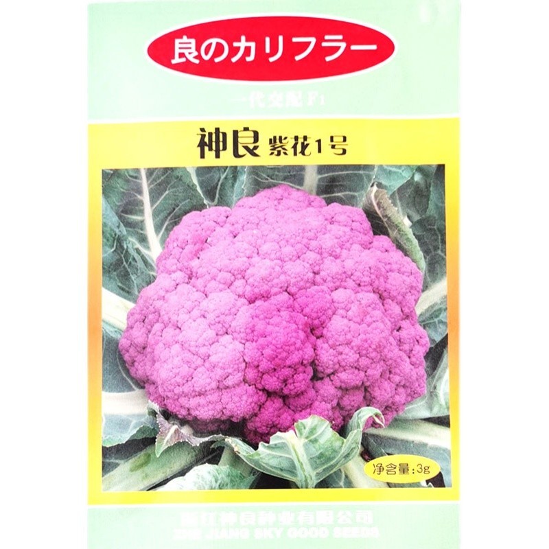 特色神良紫花1号紫色花椰菜种籽耐寒抗病高产花菜大田基地种
