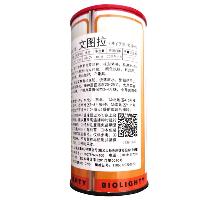 进口中早熟文图拉西芹种籽春秋四季高产浅绿芹菜种子大田基地