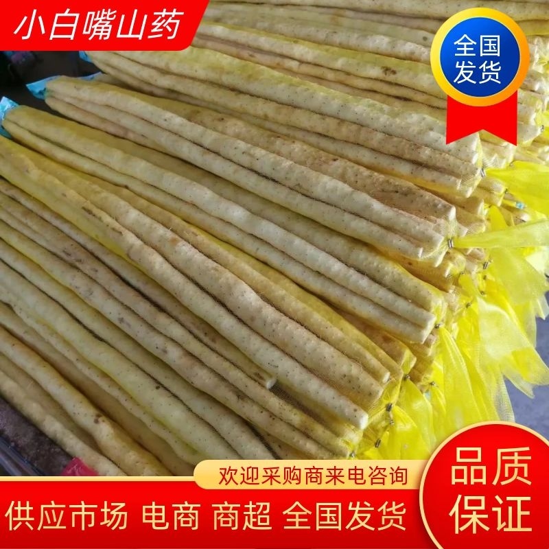 山药河北精品山药供应市场电商商超