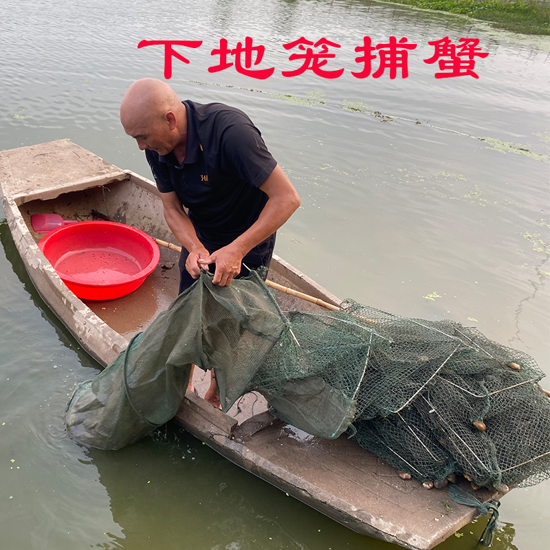 湖北洪湖清水大闸蟹青壳白底塘口直供支持混批