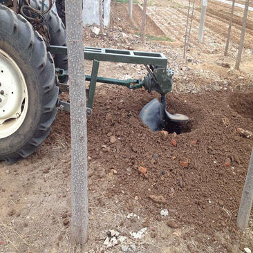 供应农用小型地钻挖坑机地钻挖坑机汽油大功率种植机
