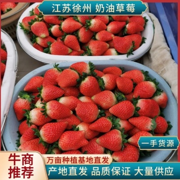 【实力】奶油草莓，欢迎社区团购，电商，批发商前来合作。