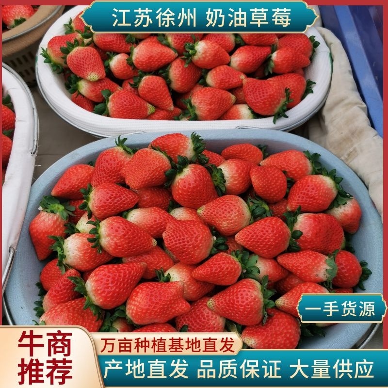 【实力】奶油草莓，欢迎社区团购，电商，批发商前来合作。