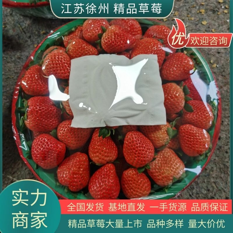 【实力】妙香草莓，欢迎社区团购，电商，批发商前来合作。