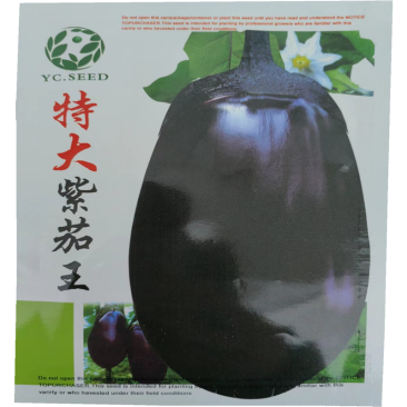 特大紫茄王种子高产紫茄子种子中晚熟果实大籽少果皮紫