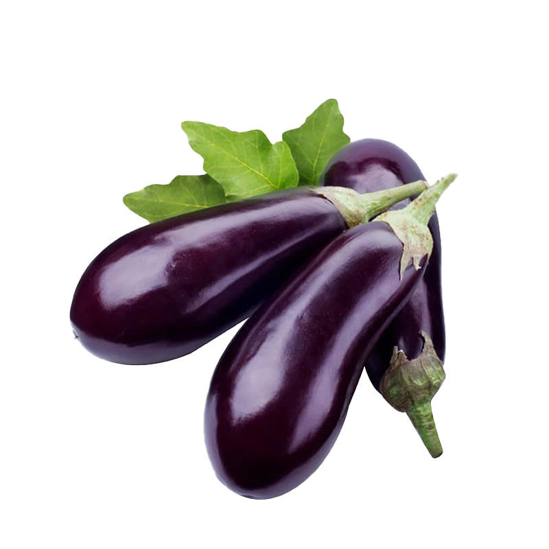 特大紫茄王种子高产紫茄子种子中晚熟果实大籽少果皮紫