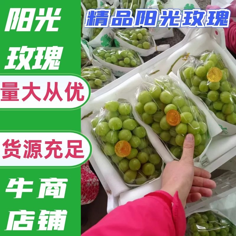 陕西精品阳光玫瑰葡萄，冷库阳光玫瑰产地直发品质保证