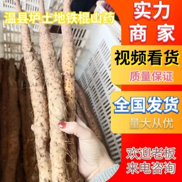 【年终福利】优质温县正宗垆土地铁棍山药一件代发包邮