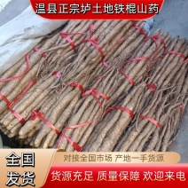 大量新鲜出土的铁棍山药质量保障诚信为本欢迎来电