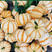 黄橘贝贝南瓜种子四季易种家阳台盆栽园艺大田蔬菜种子