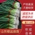 【蒜苗】山东白根蒜苗扒皮白皮蒜苗大量上市产地直发