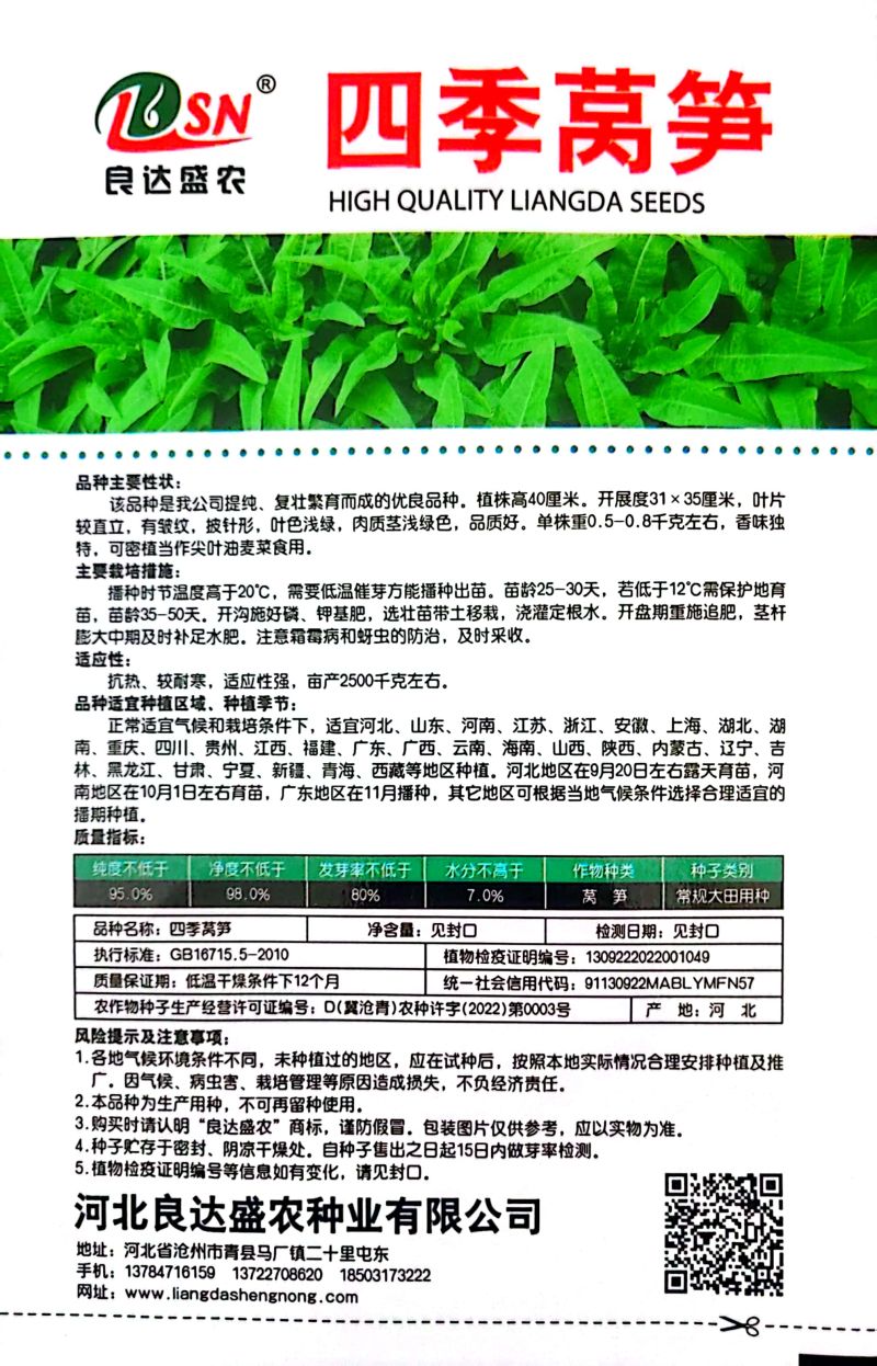 四季莴笋种子抗热耐寒品质好四季种植香味独特