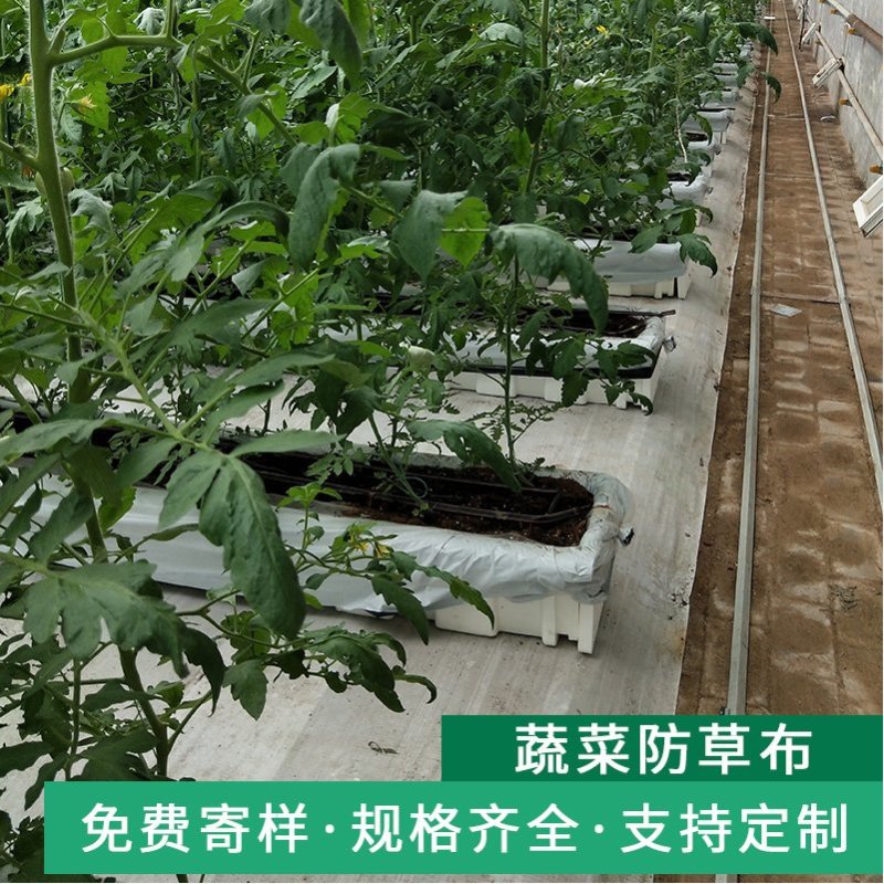 防草布除草布白色温室大棚反光布功能地布白色pe防草布