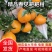 【柑桔】四川春见耙耙柑现摘现发可视频看货欢迎咨询