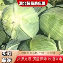 精品奥奇娜甘蓝湖北甘蓝品质优良产地直发大量供应