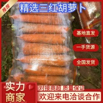 河南开封三红胡萝卜基地货源品质保证价格优惠欢迎咨询