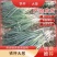 【精选】大葱新野铁杆大葱一手货源量大从优全国发货
