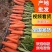 【推荐】三红胡萝卜三两以上10厘米以上带土水洗可视频看货